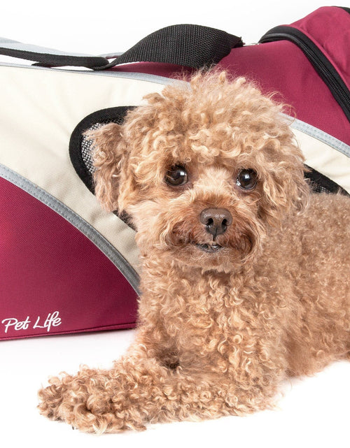 Load image into Gallery viewer, Pet Life ® 'Phenom-Air' Airline Approved Collapsible Fashion Designer Pet Dog Carrier
