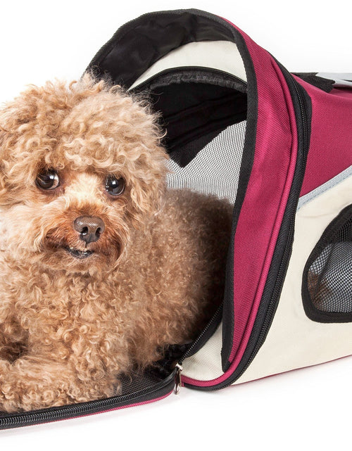 Load image into Gallery viewer, Pet Life ® 'Phenom-Air' Airline Approved Collapsible Fashion Designer Pet Dog Carrier

