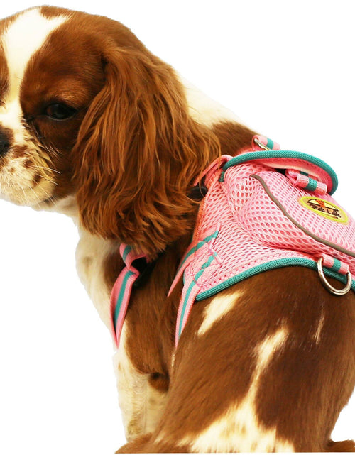 Load image into Gallery viewer, Pet Life ® 'Pocket Bark' Reflective Adjustable Fashion Pet Dog Harness w/ Hook-and-Loop Pouch and Dual Harness Rings
