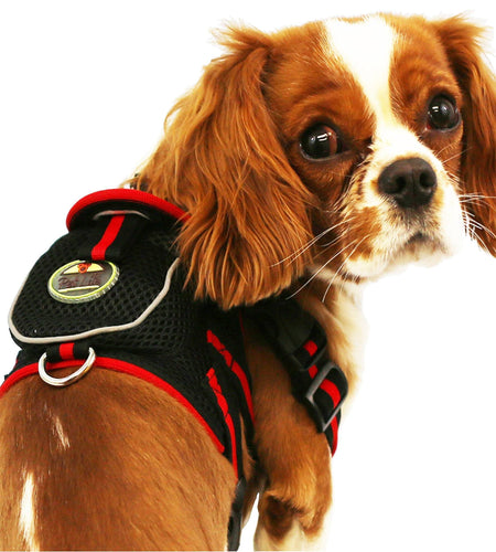 Pet Life ® 'Pocket Bark' Reflective Adjustable Fashion Pet Dog Harness w/ Hook-and-Loop Pouch and Dual Harness Rings
