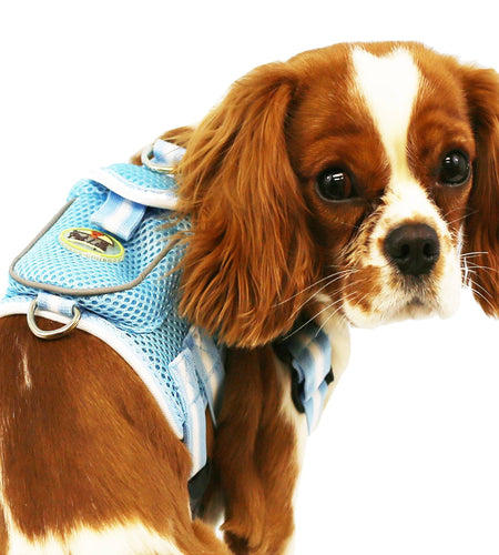Pet Life ® 'Pocket Bark' Reflective Adjustable Fashion Pet Dog Harness w/ Hook-and-Loop Pouch and Dual Harness Rings