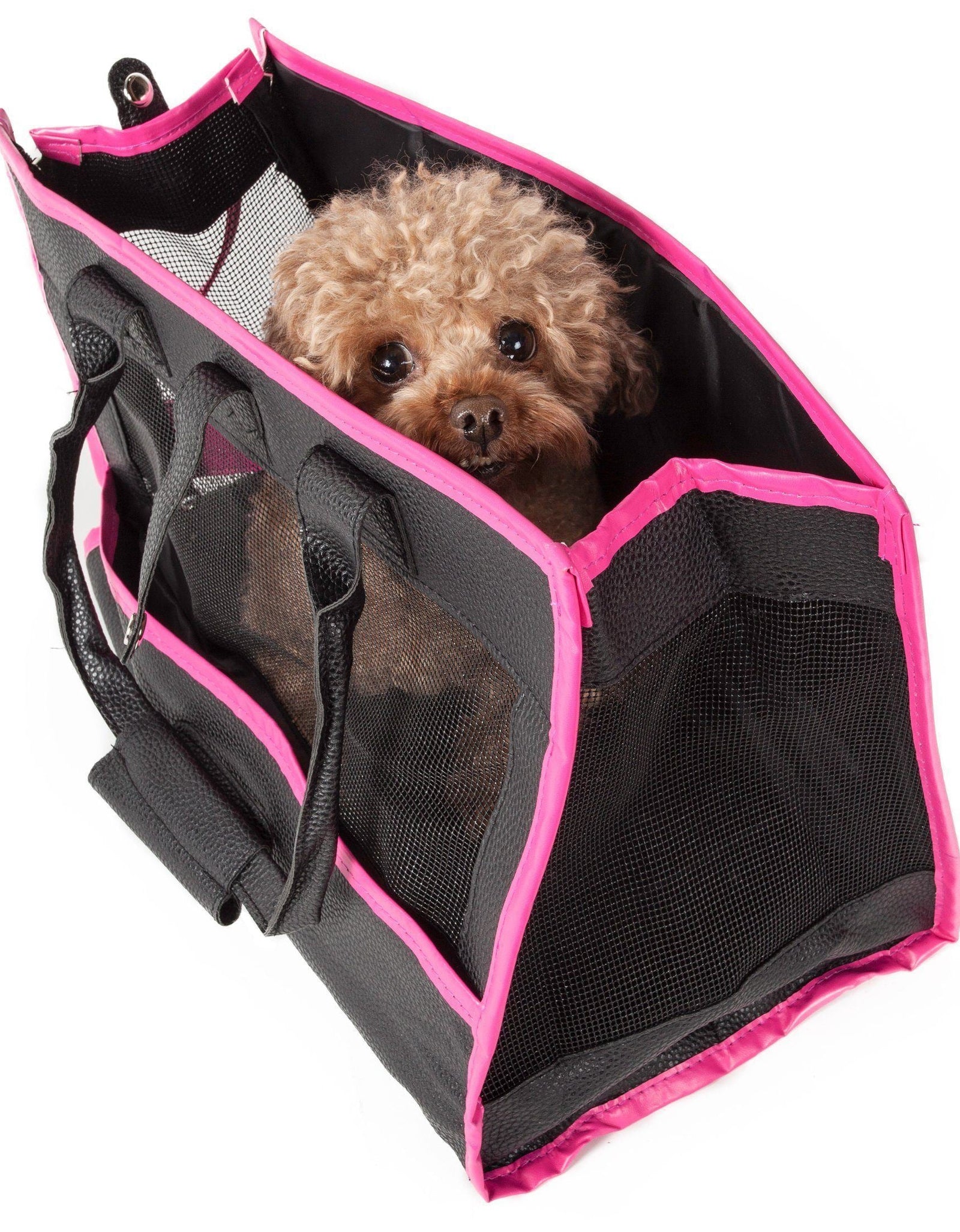 Pet Life ® 'Posh Paw' Elegant Leatherette Designer Fashion Travel Pet Dog Carrier Tote