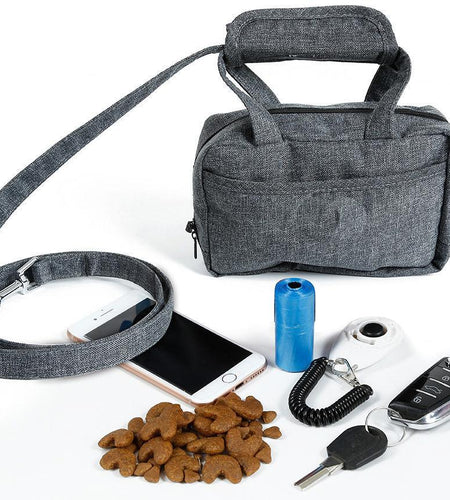 Pet Life ® 'Posh Walk' Purse Dog Leash, Accessory Holder and Waste Bag Dispenser