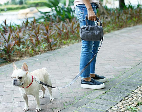 Load image into Gallery viewer, Pet Life ® 'Posh Walk' Purse Dog Leash, Accessory Holder and Waste Bag Dispenser
