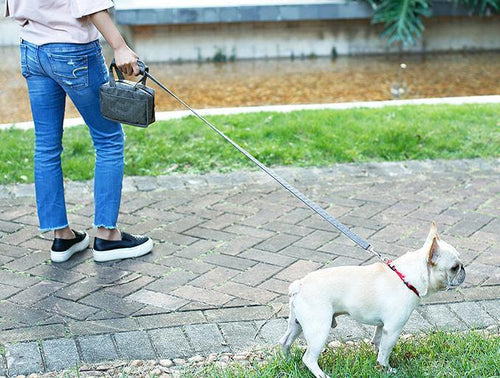 Load image into Gallery viewer, Pet Life ® 'Posh Walk' Purse Dog Leash, Accessory Holder and Waste Bag Dispenser
