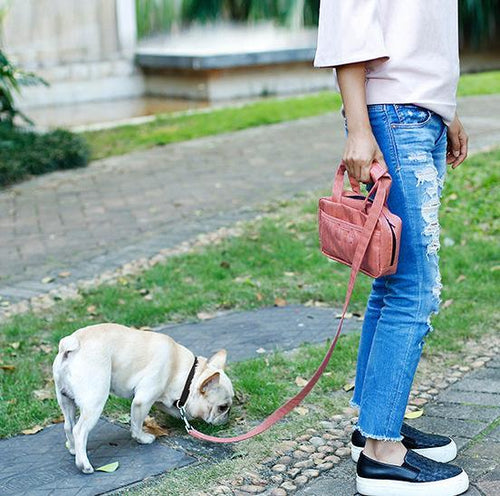 Load image into Gallery viewer, Pet Life ® 'Posh Walk' Purse Dog Leash, Accessory Holder and Waste Bag Dispenser
