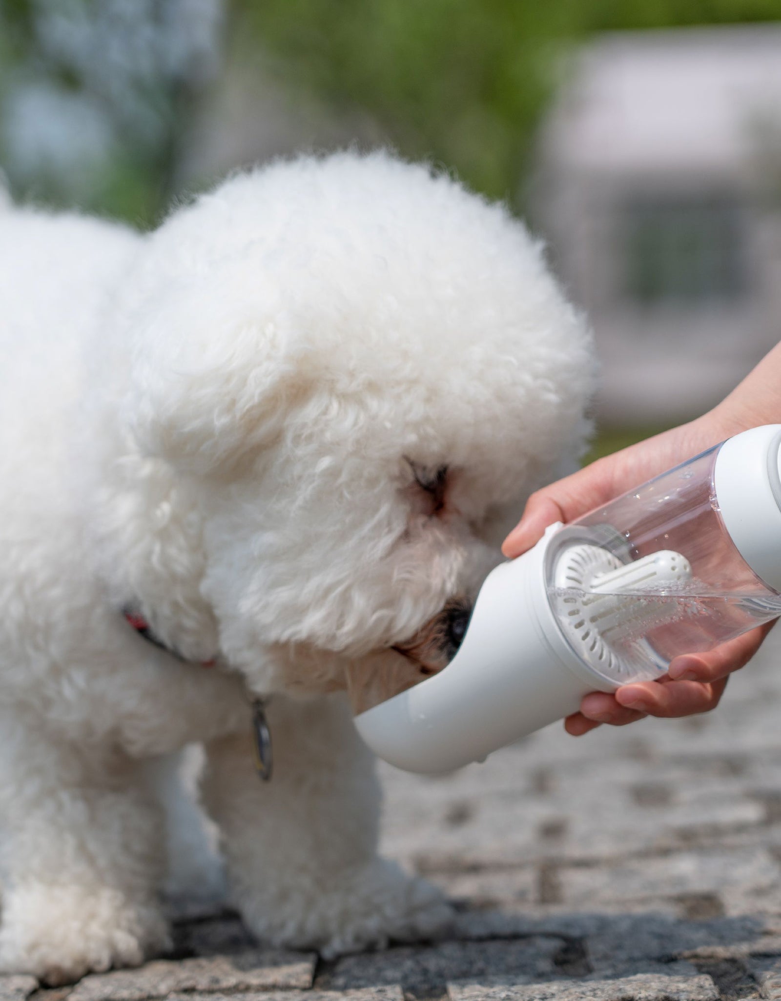 Pet Life ® 'PYURE' Handheld Travel Filtered Water Feeder