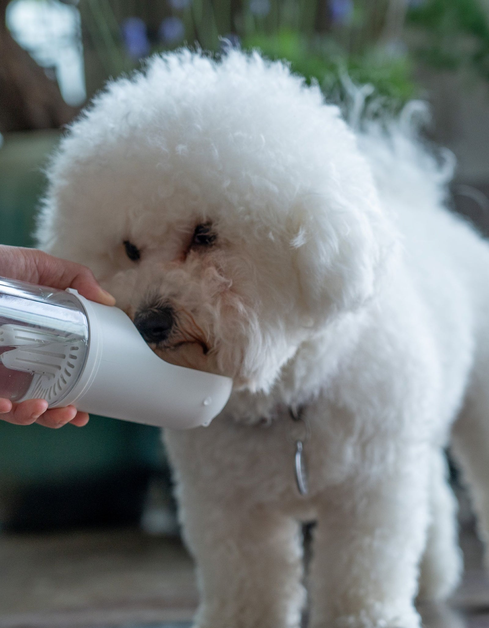 Pet Life ® 'PYURE' Handheld Travel Filtered Water Feeder