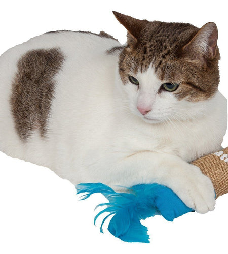 Pet Life ® 'Duffle Feathered' Squeak and Crinkle Teaser Plush Cat Toy