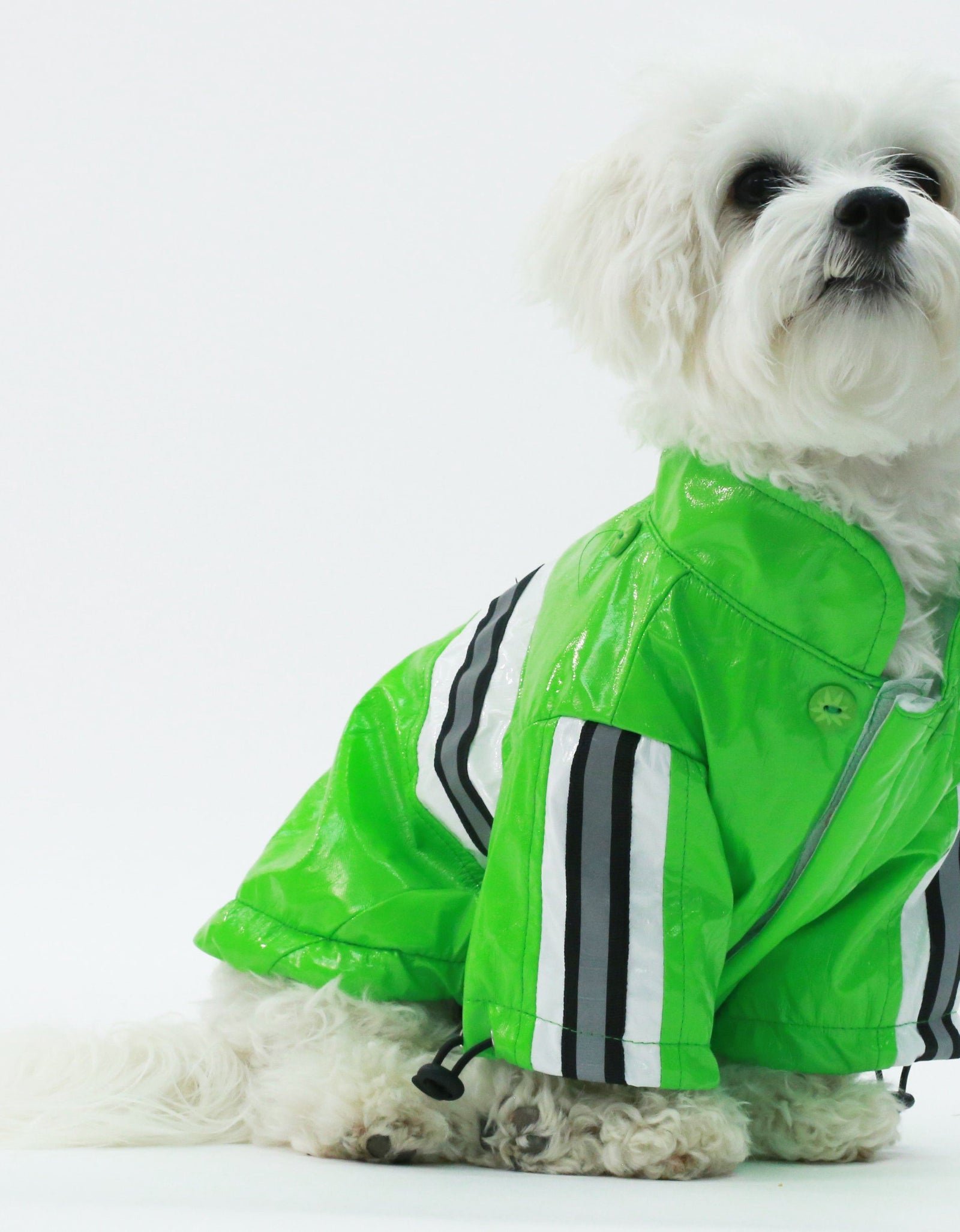 Pet Life ® 'Reflecta-Glow' Reflective Waterproof Adjustable Dog Raincoat Jacket w/ Removable Hood