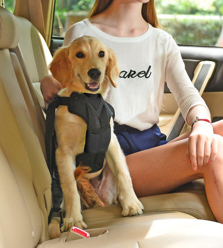 Pet Life ® 'Road-To-Safety' Pet Dog Carseat Harness Securer w/ Detachable Swivel Hook