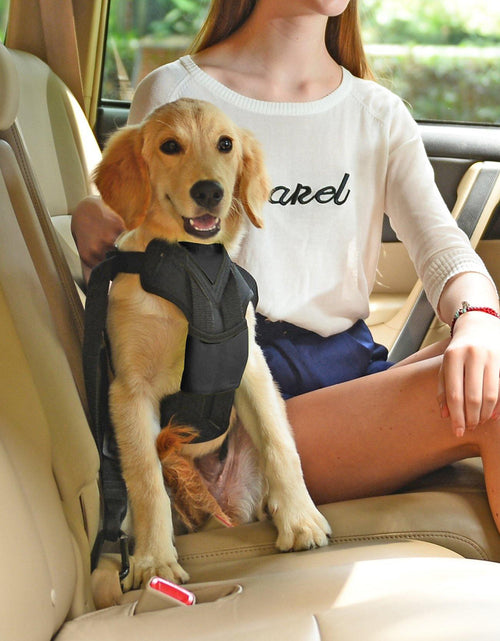 Load image into Gallery viewer, Pet Life ® 'Road-To-Safety' Pet Dog Carseat Harness Securer w/ Detachable Swivel Hook
