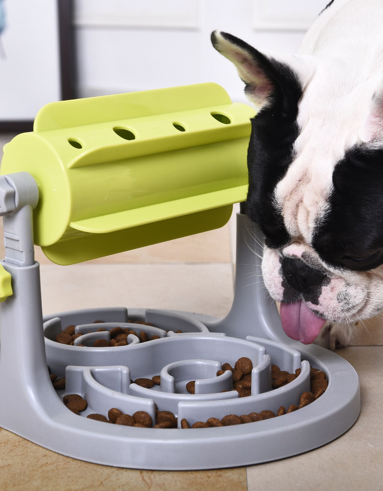 Pet Life ® 'Roto Paw' IQ Training Interactive Rotating Slow Dog Feeder