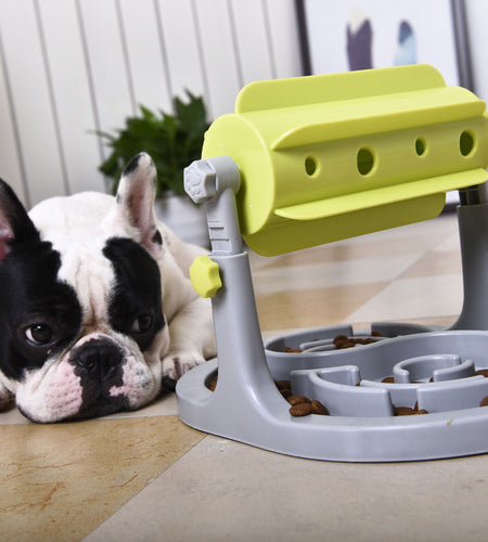 Pet Life ® 'Roto Paw' IQ Training Interactive Rotating Slow Dog Feeder