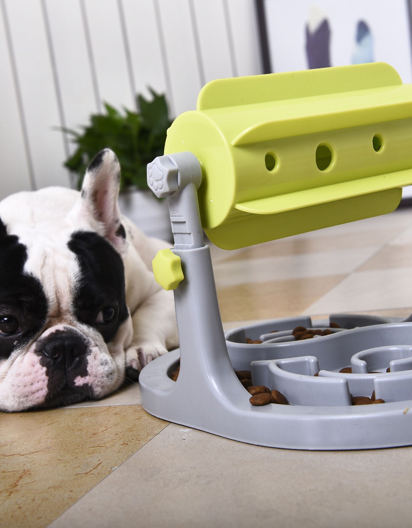 Pet Life ® 'Roto Paw' IQ Training Interactive Rotating Slow Dog Feeder