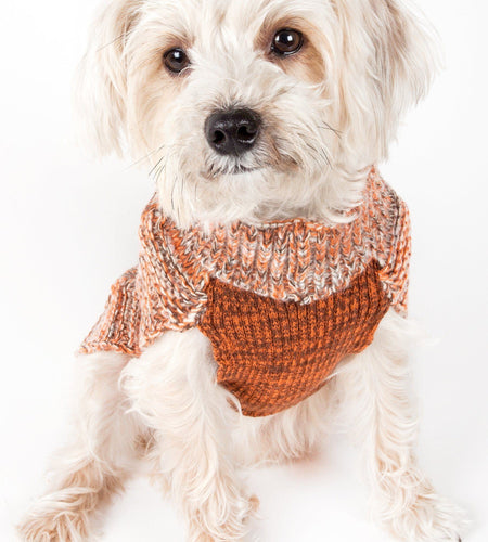 Pet Life ® 'Royal Bark' Heavy Cable Knitted Designer Fashion Dog Sweater
