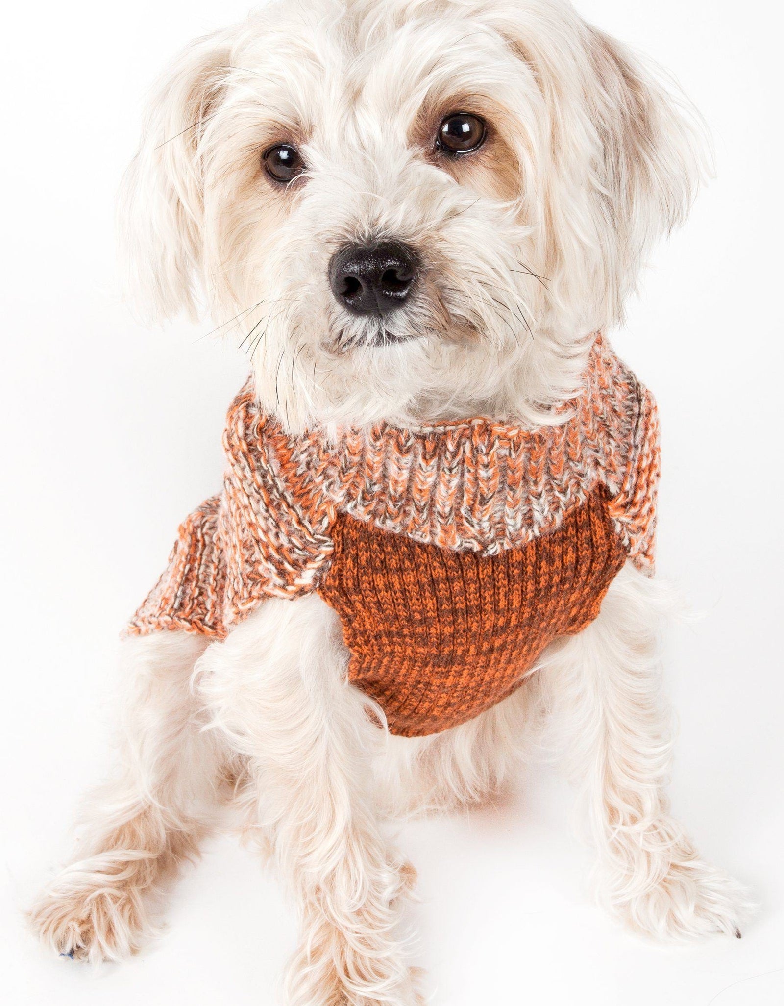 Pet Life ® 'Royal Bark' Heavy Cable Knitted Designer Fashion Dog Sweater