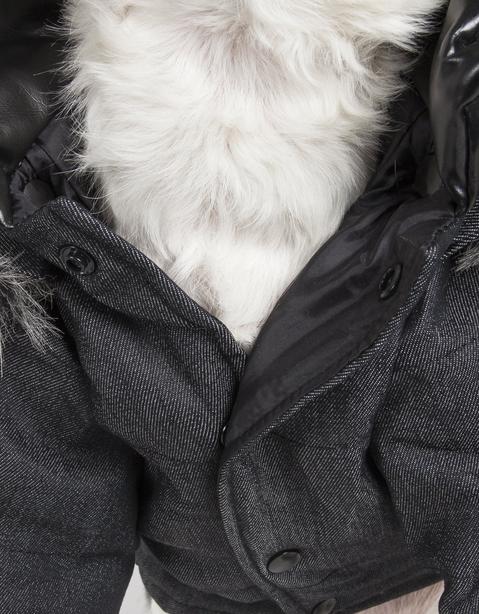 Pet Life ® 'Ruff-Choppered' Denim Fashioned Wool Dog Coat Jacket