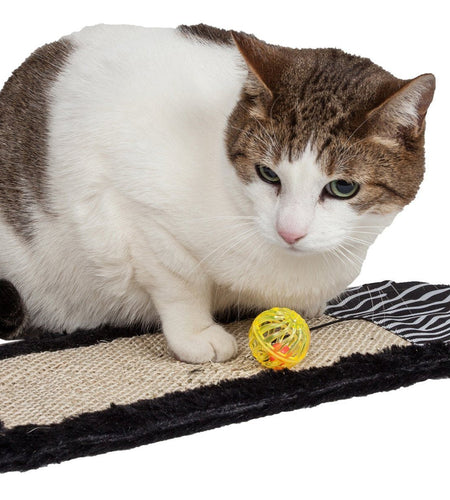 Pet Life ® 'Scrape-Away' Sisal and Jute Hanging Carpet Cat Scratcher Toy