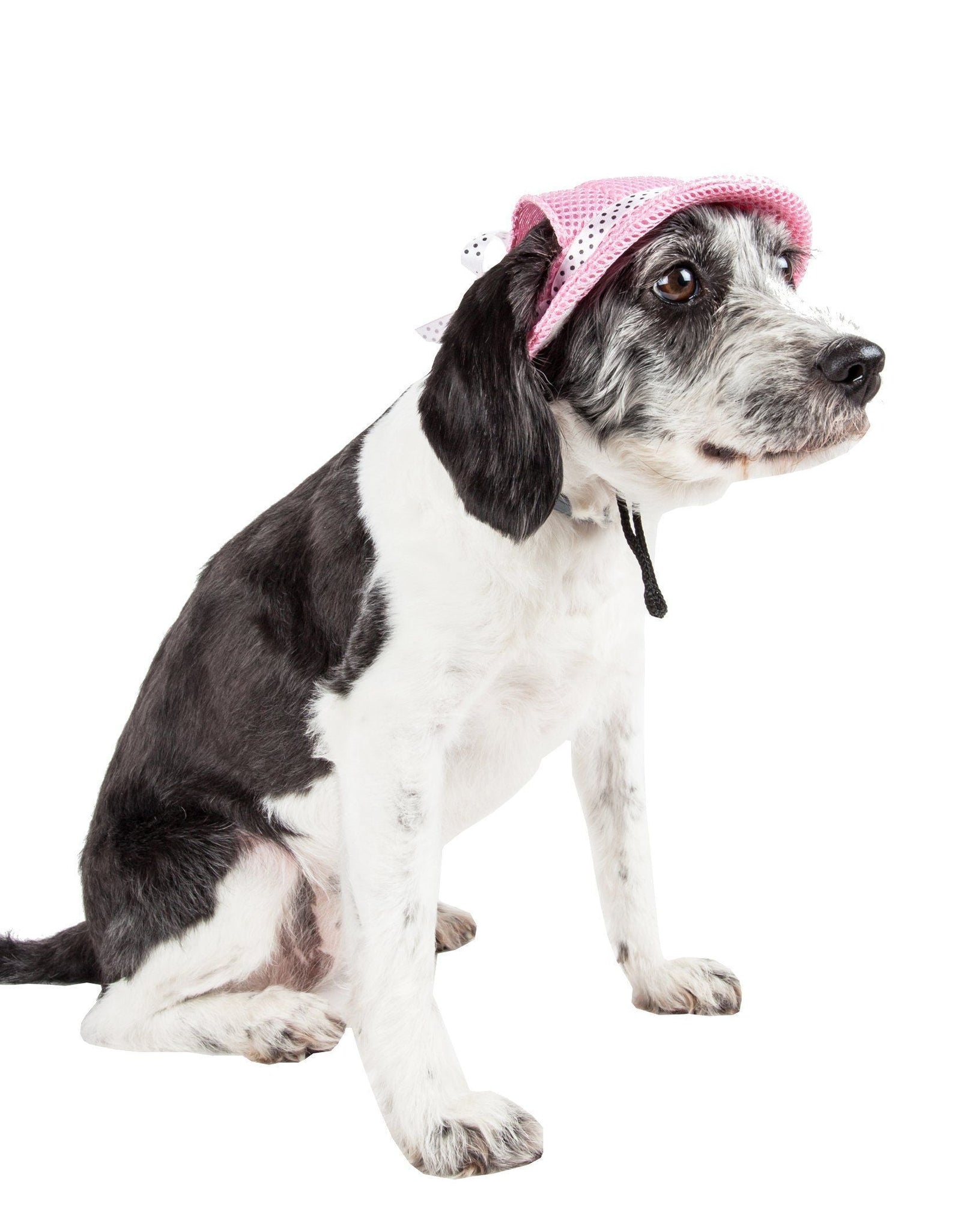 Pet Life ®  'Sea Spot Sun' UV Protectant Adjustable Fashion Mesh Brimmed Dog Hat Cap