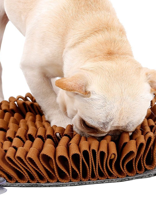 Load image into Gallery viewer, Pet Life ® 'Sniffer Grip' Interactive Anti-Skid Suction Pet Snuffle Mat
