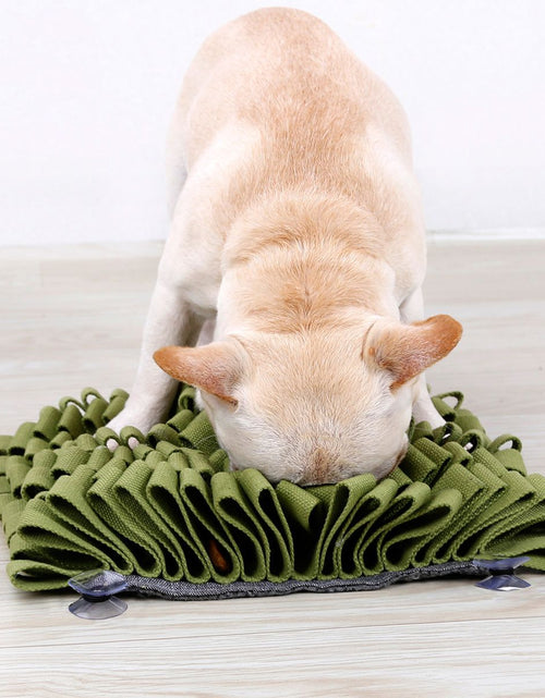 Load image into Gallery viewer, Pet Life ® 'Sniffer Grip' Interactive Anti-Skid Suction Pet Snuffle Mat
