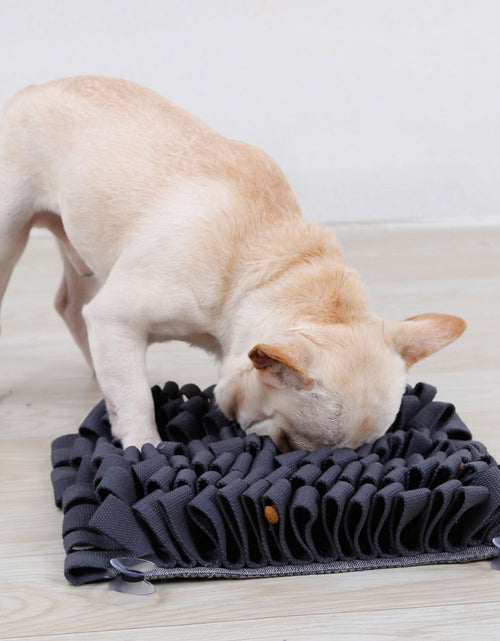 Load image into Gallery viewer, Pet Life ® 'Sniffer Grip' Interactive Anti-Skid Suction Pet Snuffle Mat
