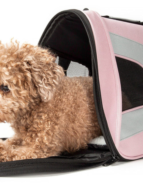 Load image into Gallery viewer, Pet Life ® Sporty Mesh Airline Approved Zippered Folding Collapsible Travel Pet Dog Carrier
