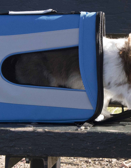 Load image into Gallery viewer, Pet Life ® Sporty Mesh Airline Approved Zippered Folding Collapsible Travel Pet Dog Carrier
