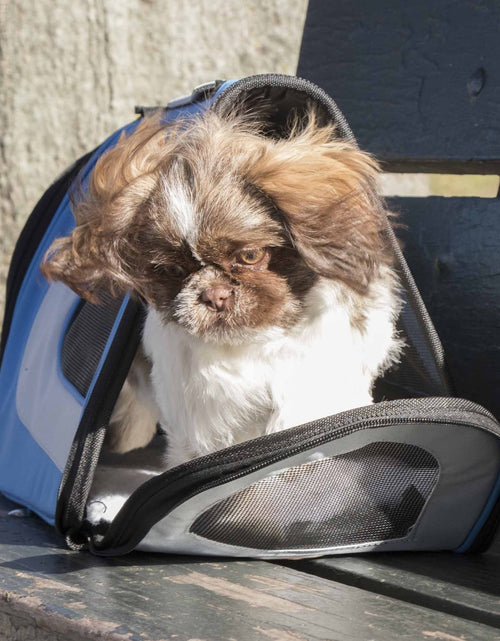 Load image into Gallery viewer, Pet Life ® Sporty Mesh Airline Approved Zippered Folding Collapsible Travel Pet Dog Carrier
