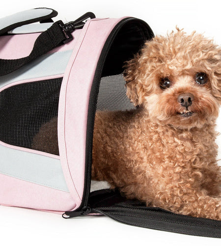 Pet Life ® Sporty Mesh Airline Approved Zippered Folding Collapsible Travel Pet Dog Carrier