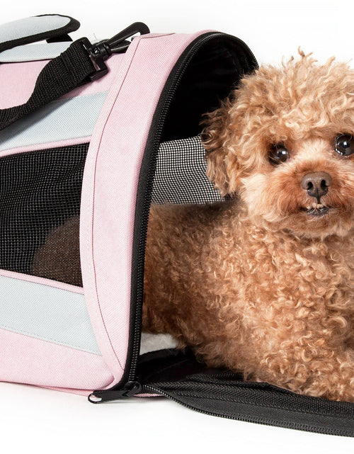 Load image into Gallery viewer, Pet Life ® Sporty Mesh Airline Approved Zippered Folding Collapsible Travel Pet Dog Carrier

