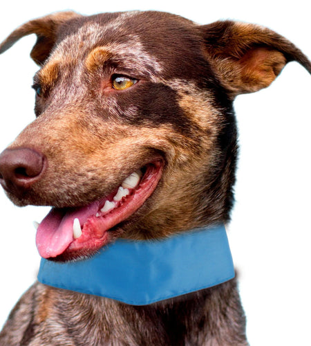 Pet Life ® 'Summer-Cooling' Ice Insertable and Adjustable Cooling Dog Neck Wrap