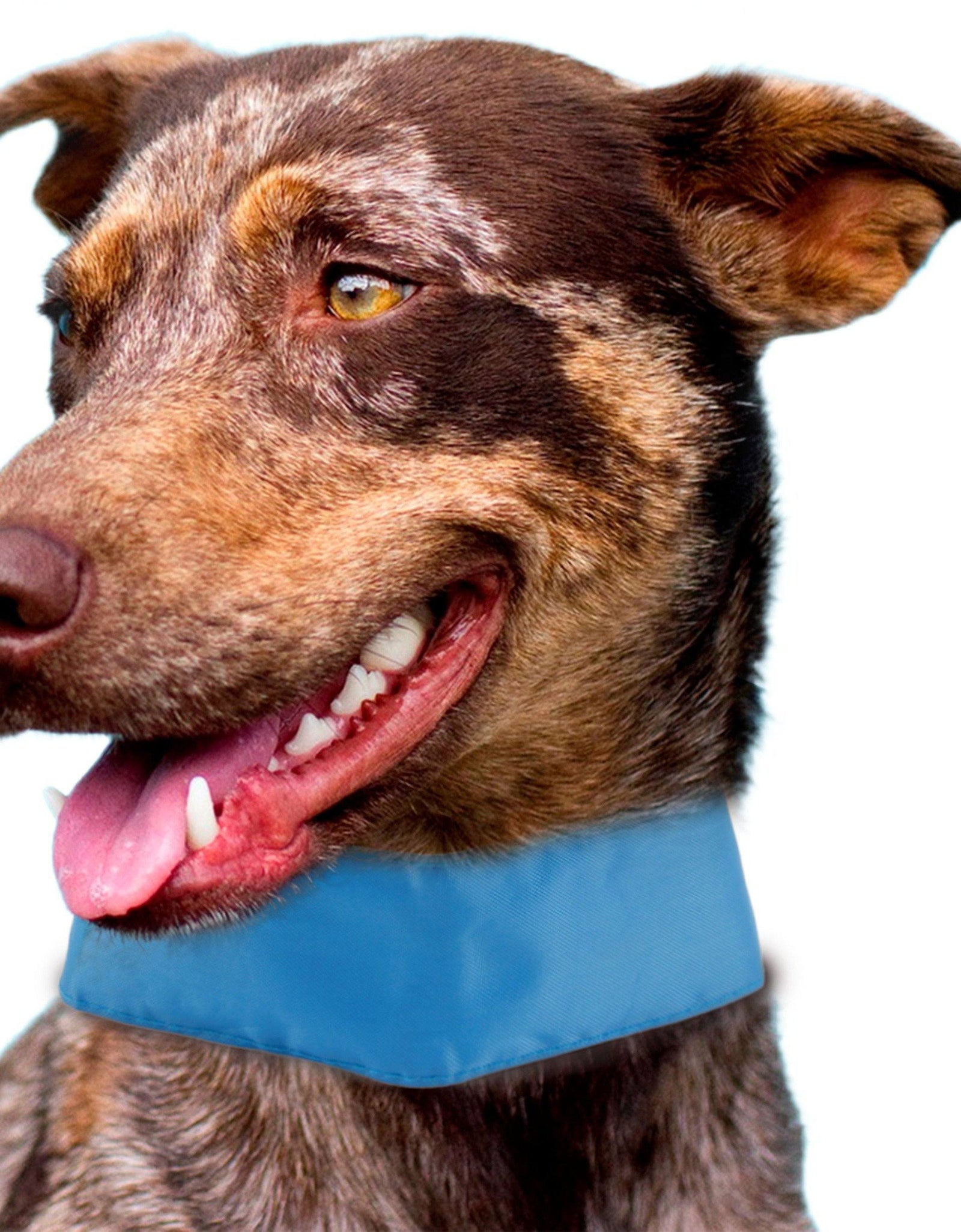 Pet Life ® 'Summer-Cooling' Ice Insertable and Adjustable Cooling Dog Neck Wrap