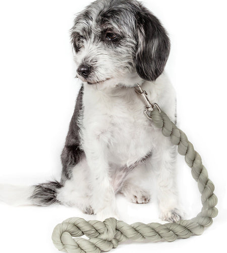 Pet Life ® 'Tough-Tugger' Industrial-Strength Shock Absorption Woven Pet Dog Leash