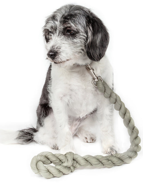Load image into Gallery viewer, Pet Life ® 'Tough-Tugger' Industrial-Strength Shock Absorption Woven Pet Dog Leash
