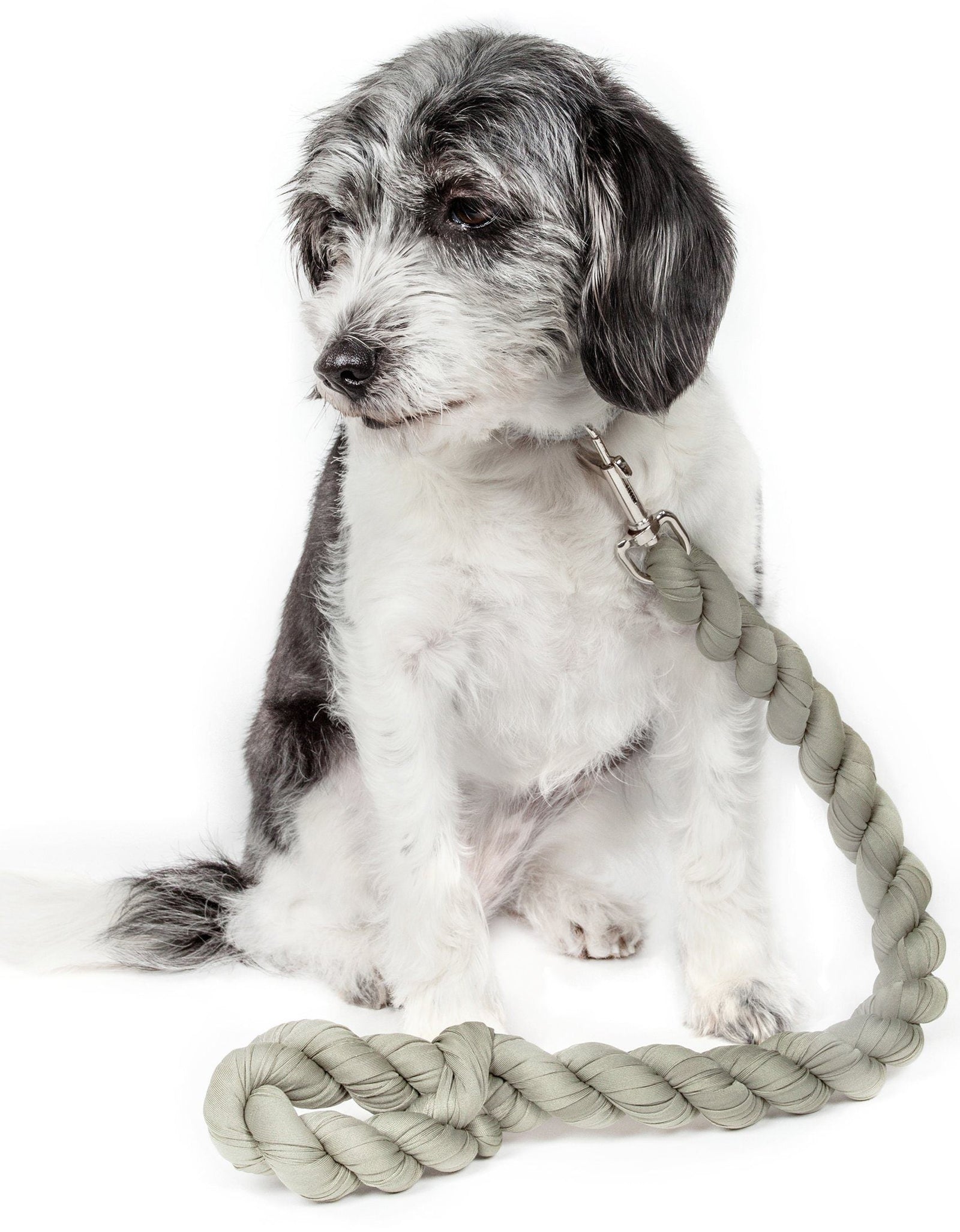 Pet Life ® 'Tough-Tugger' Industrial-Strength Shock Absorption Woven Pet Dog Leash