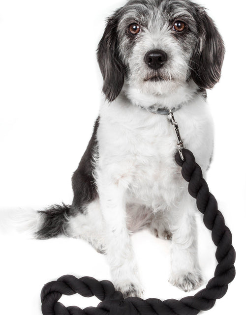 Load image into Gallery viewer, Pet Life ® 'Tough-Tugger' Industrial-Strength Shock Absorption Woven Pet Dog Leash
