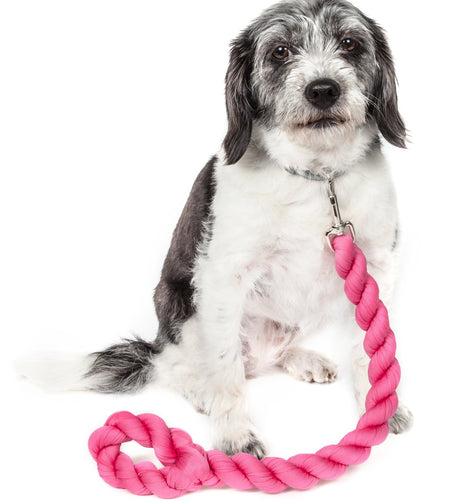 Pet Life ® 'Tough-Tugger' Industrial-Strength Shock Absorption Woven Pet Dog Leash