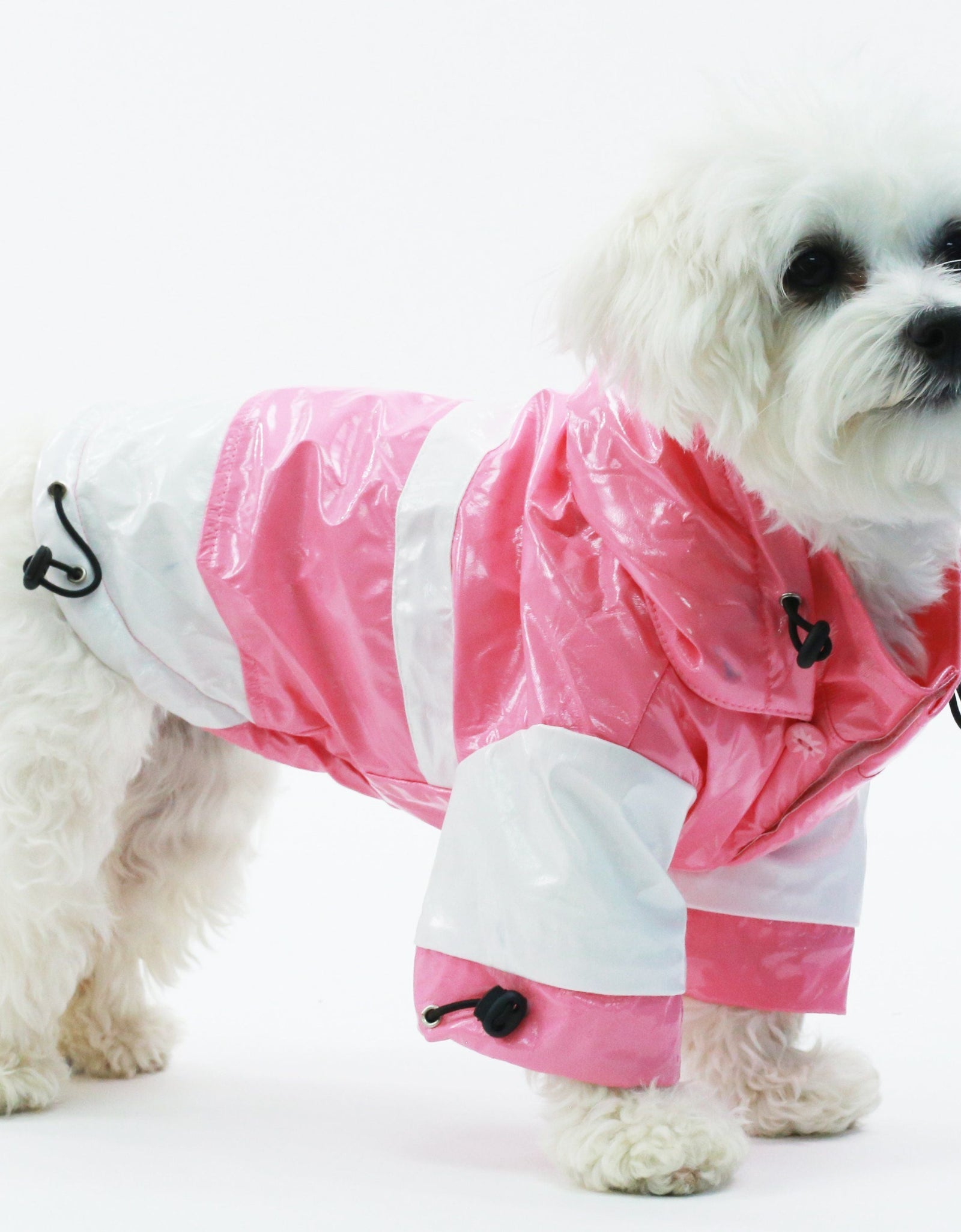 Pet Life ® 'Two-Tone' Waterproof Adjustable Dog Raincoat Jacket w/ Removable Hood