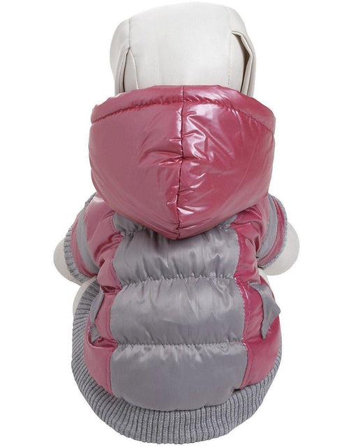 Load image into Gallery viewer, Pet Life ® 'Vintage Aspen' 3M Insulated Sporty Ski Dog Jacket w/ Removable Hood
