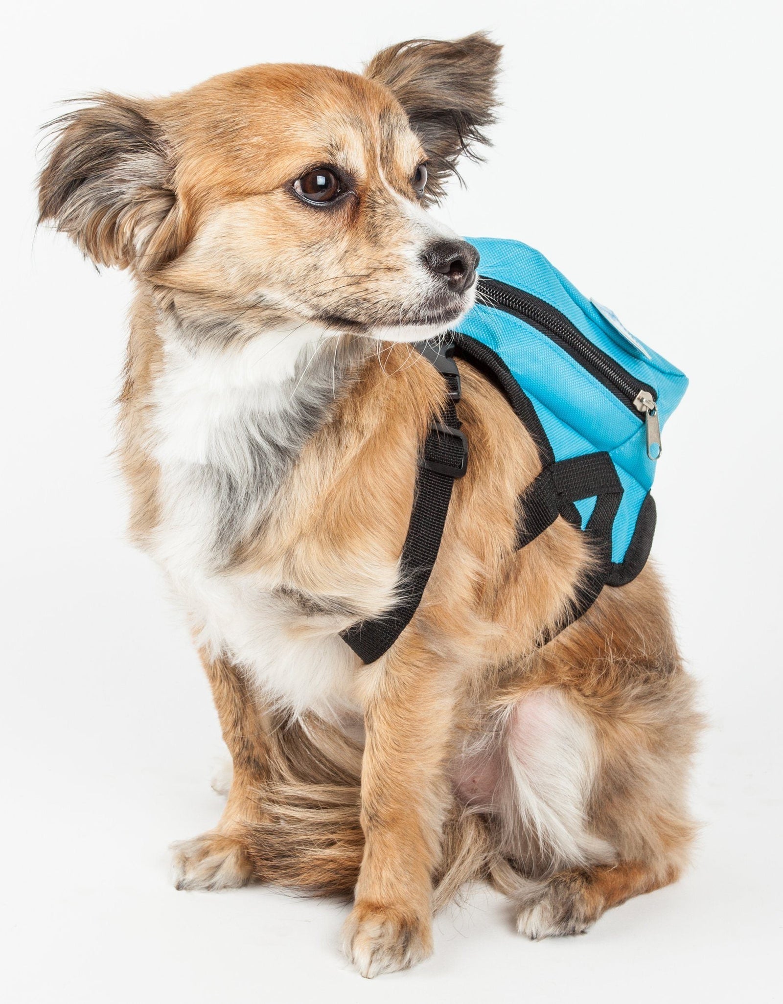 Pet Life ® 'Waggler Hobbler' Large-Pocketed Animated Fashion Dog Harness Backpack