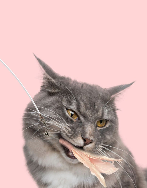 Load image into Gallery viewer, Pet Life ® 'Wander-cat' Customizeable and Extendable 10-in-1 Attachment Laser Cat Teaser
