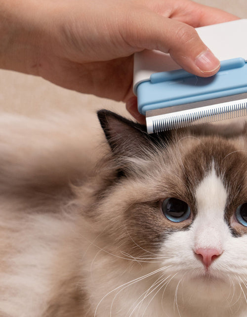 Load image into Gallery viewer, Pet Life ® 'Zipocket' 2-in-1 Underake and Stainless Steel Travel Grooming Pet Comb
