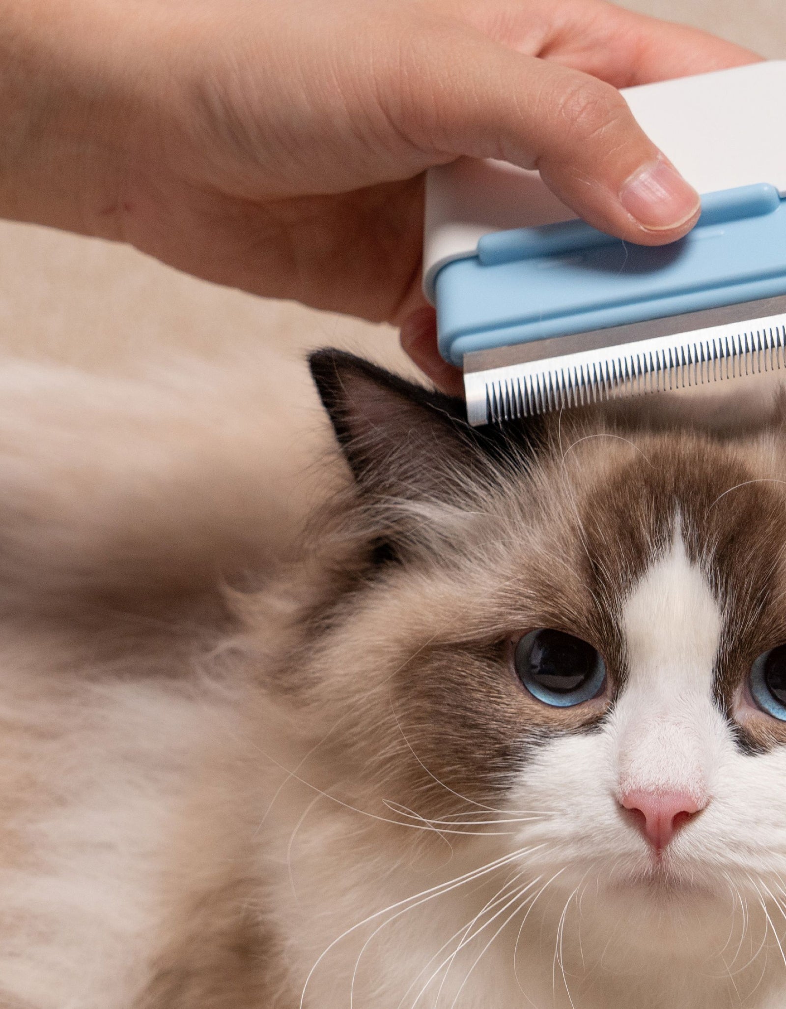 Pet Life ® 'Zipocket' 2-in-1 Underake and Stainless Steel Travel Grooming Pet Comb