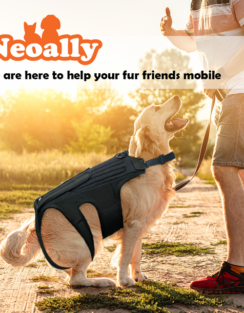 Load image into Gallery viewer, NeoAlly Dog Back Brace for Dogs with Inserts for Extra Support
