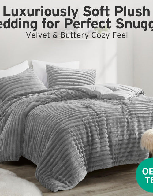 Load image into Gallery viewer, dennylife Queen Comforter Set Dandelion Velvet Soft Microfiber 3 PCS Light Grey

