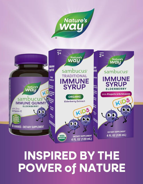 Load image into Gallery viewer, Nature's Way Sambucus Kids Organic Elderberry Syrup Berry Flavor 4 Fl Oz
