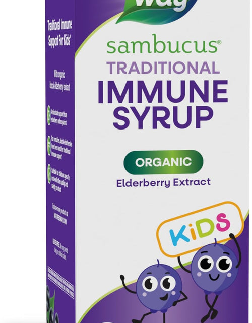 Load image into Gallery viewer, Nature's Way Sambucus Kids Organic Elderberry Syrup Berry Flavor 4 Fl Oz
