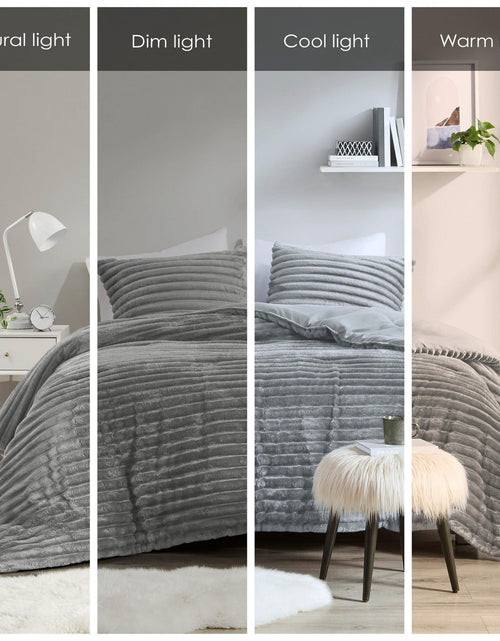 Load image into Gallery viewer, dennylife Queen Comforter Set Dandelion Velvet Soft Microfiber 3 PCS Light Grey

